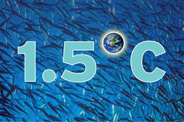 The Secret of Sustainable Aquaculture: Part 5