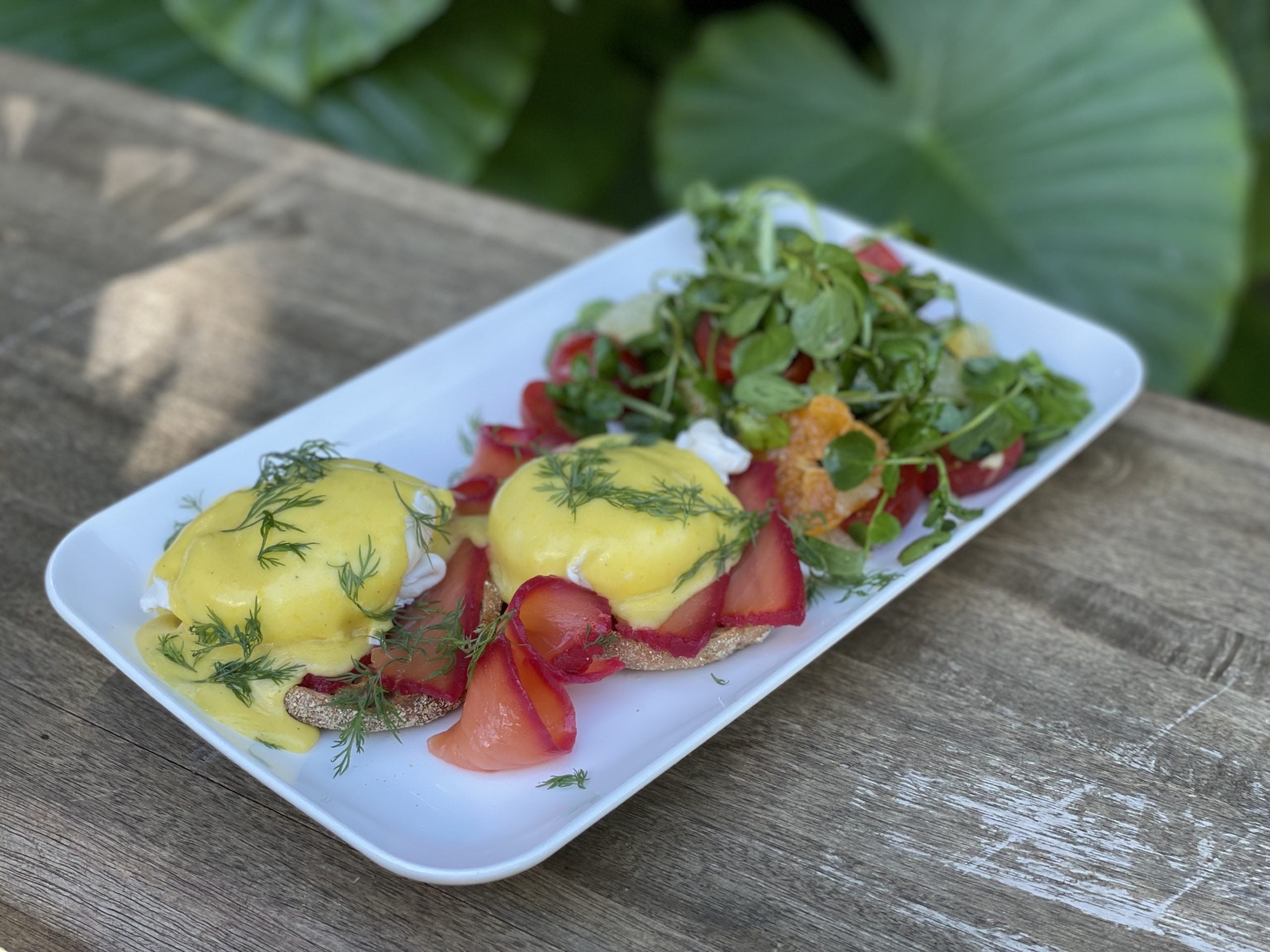 Beet Cured Salmon Benedict with Citrus Hollandaise Recipe