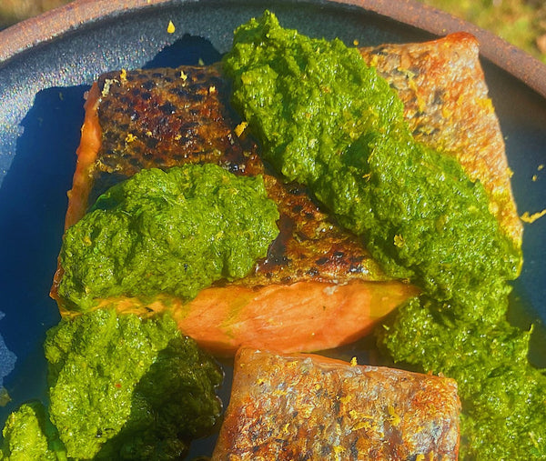 Grilled Secret Island Salmon with Chermoula Recipe