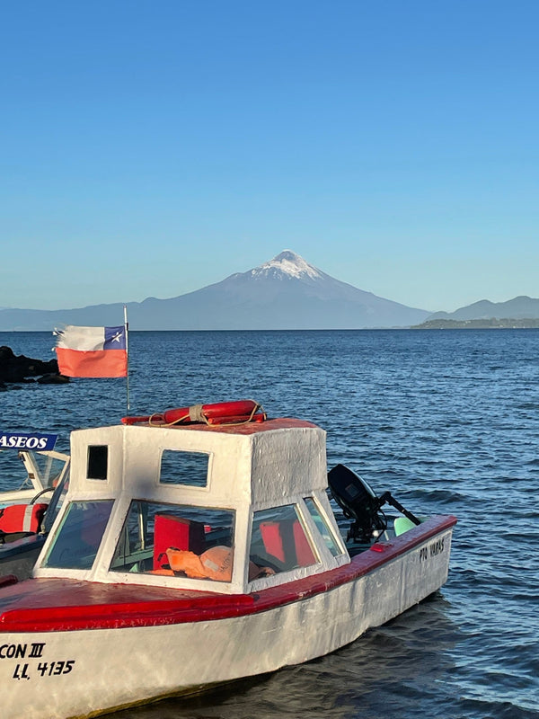 5 Facts About Our Chilean Salmon