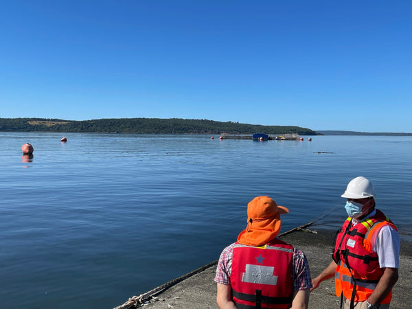 How to Do Your Part to Help Our Oceans