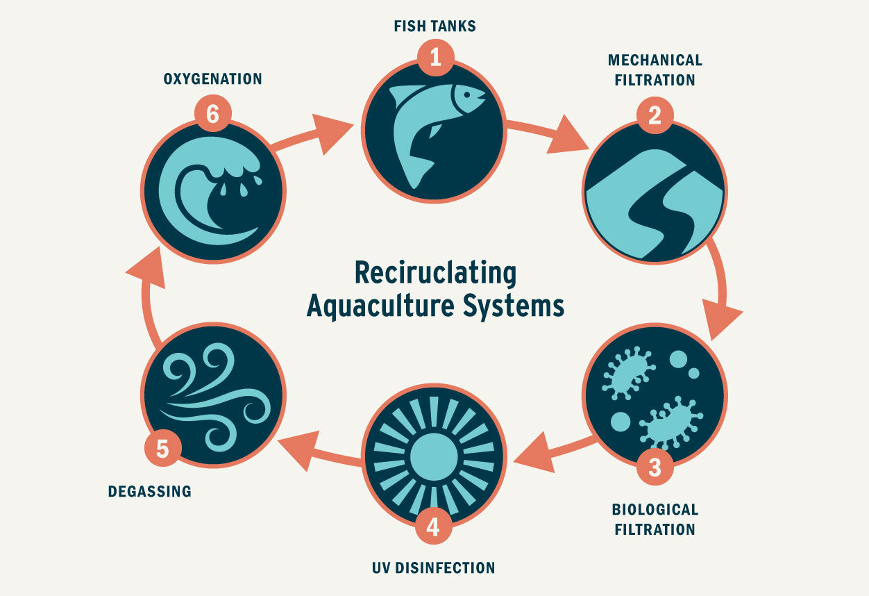 The Secret of Sustainable Aquaculture: Part 3