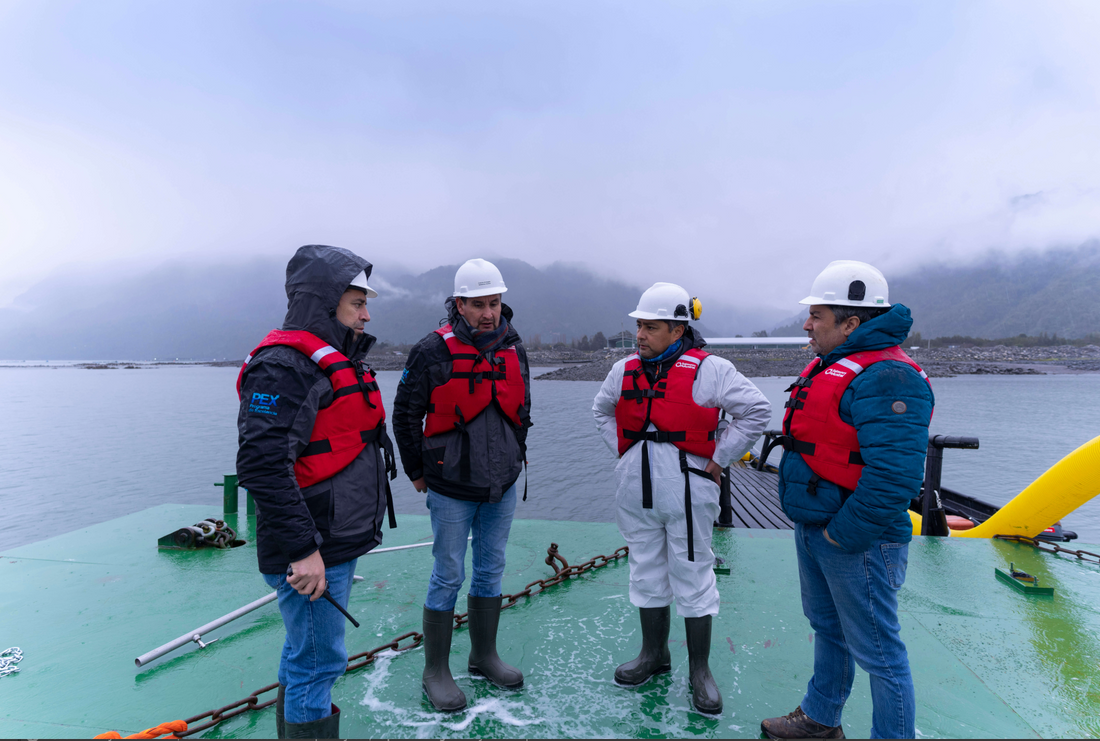 Schooling Together for a More Sustainable Future