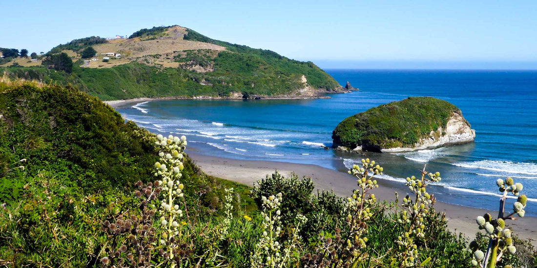 The Benefits of Sustainable Seafood