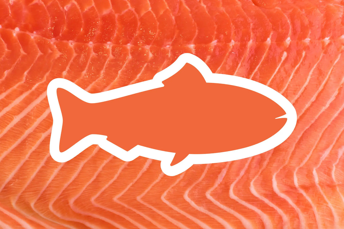 Salmon Are What They Eat
