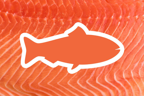 Salmon Are What They Eat