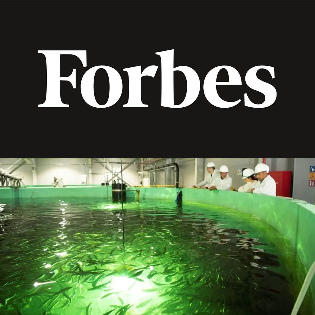 Featured in Forbes: How Sustainable Farming On Land And Sea Can Work Together To Meet Our Growing Need For Protein