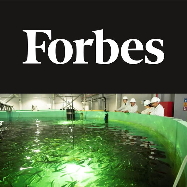 Featured in Forbes: How Sustainable Farming On Land And Sea Can Work Together To Meet Our Growing Need For Protein