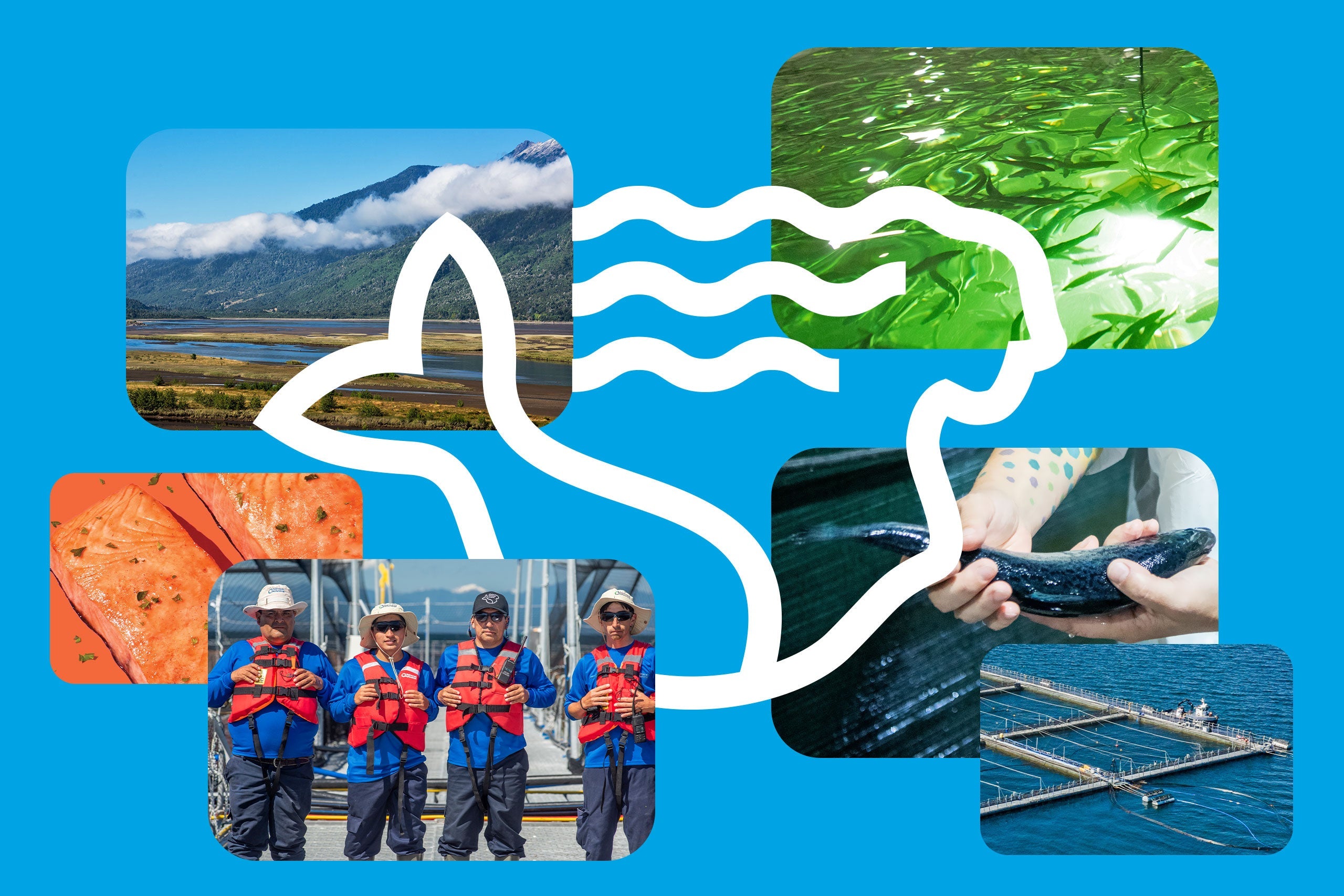 Small Fish, Big Pond: Micro vs. Macro Aquaculture Efforts