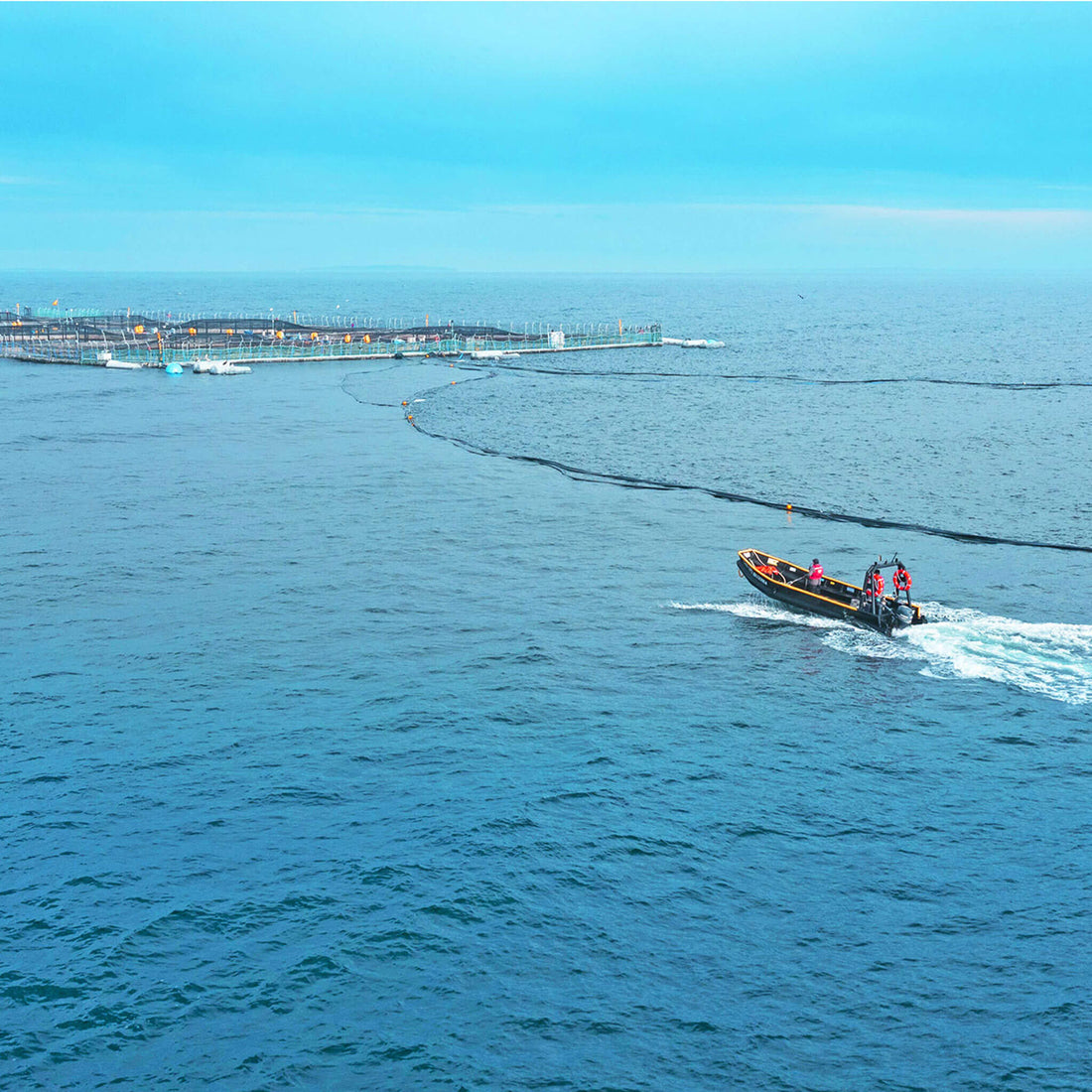 The Science of Serving Up Naturally Fresh Salmon