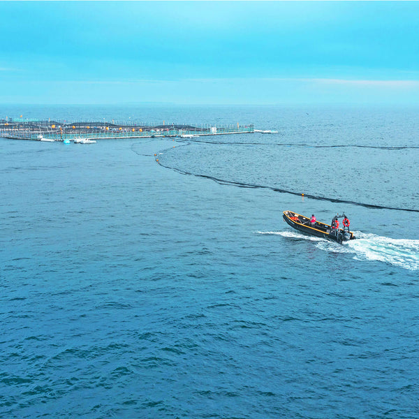 The Science of Serving Up Naturally Fresh Salmon