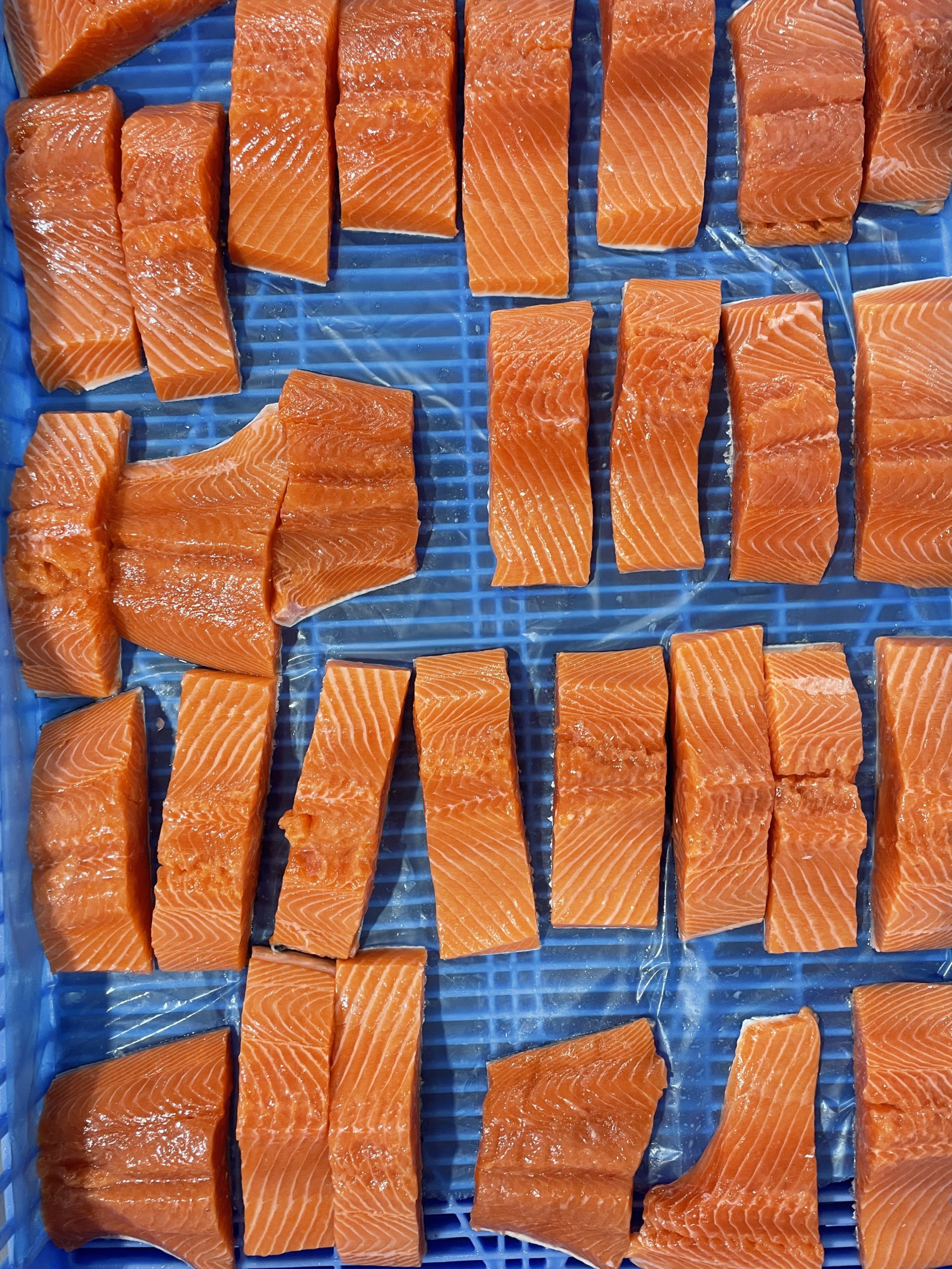Salmon filets