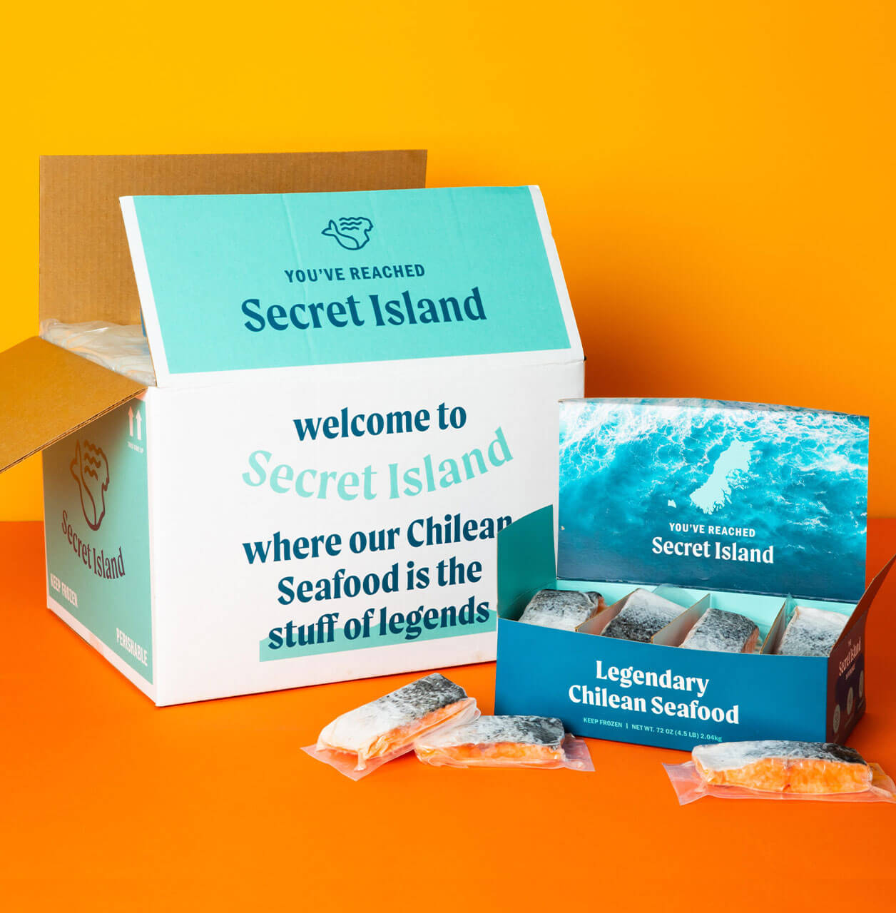 Coho Salmon 12‑Pack - Secret Island